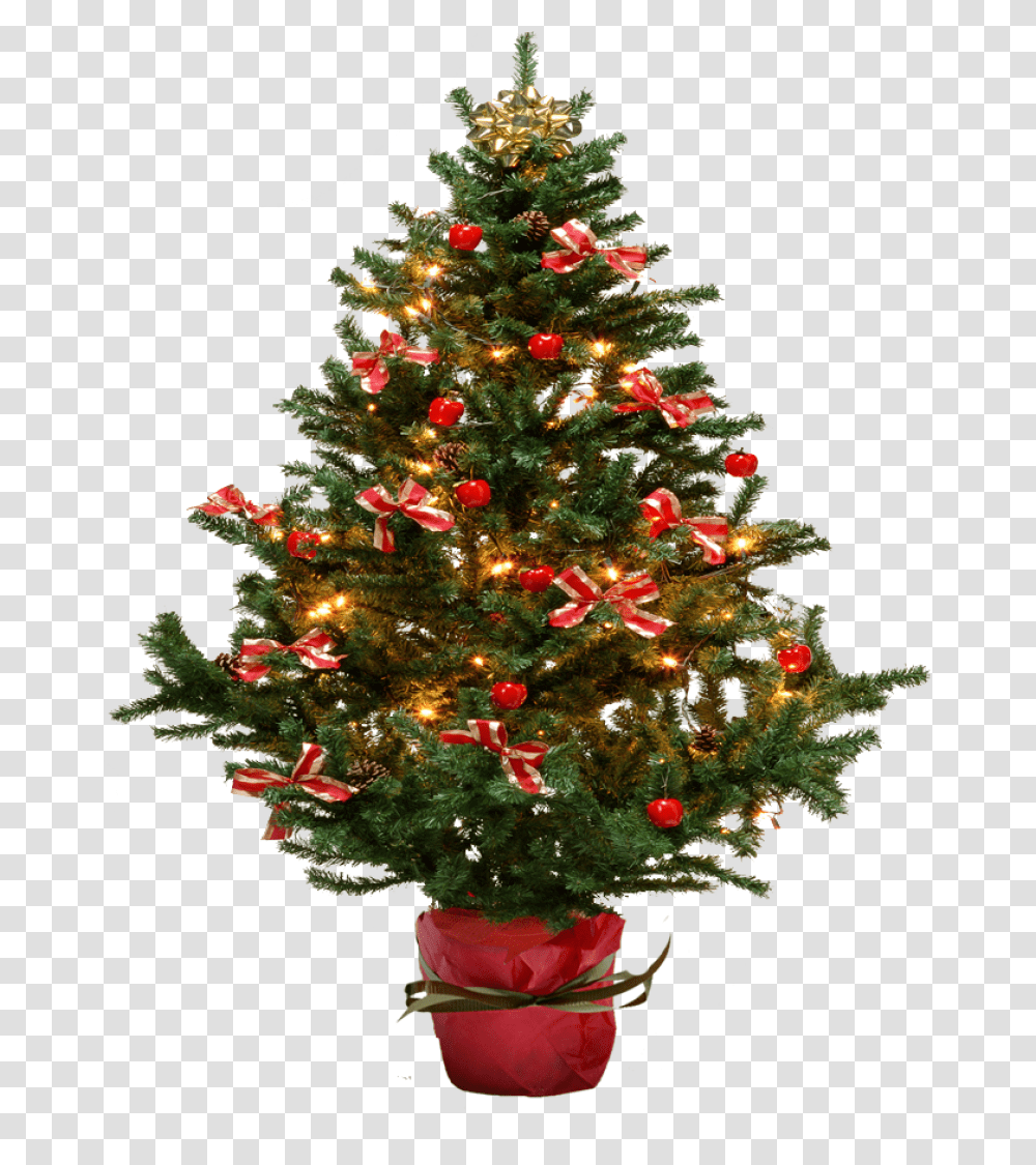 Download Hd Christmas Tree Free Background Small Christmas Tree, Ornament, Plant, Conifer Transparent Png