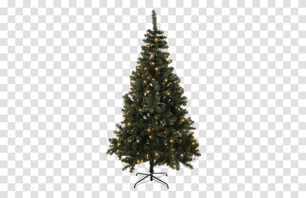 Download Hd Christmas Tree W Led Twinkle Evergreen Christmas Tree, Ornament, Plant, Pine, Fir Transparent Png