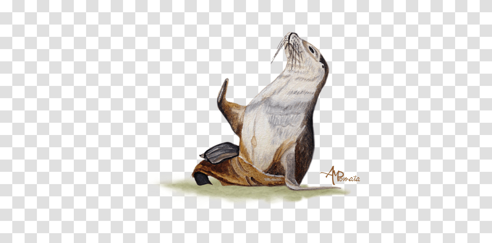Download Hd Click And Drag To Re Position The Image If Sea Lion Watercolor, Mammal, Animal, Horse, Wildlife Transparent Png