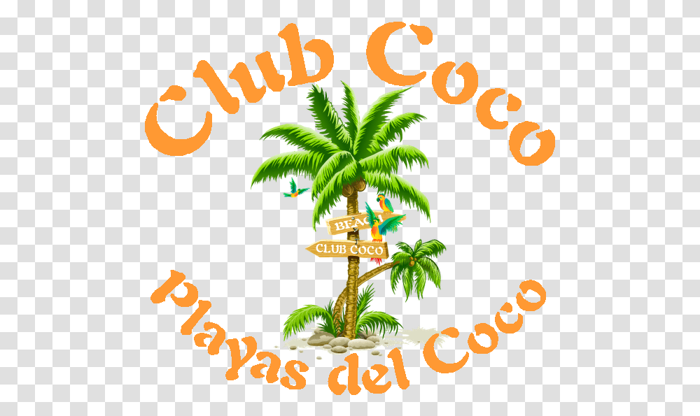 Download Hd Cocologo1bi Coconut Tree Clipart Portable Network Graphics, Plant, Text, Vegetation, Rainforest Transparent Png