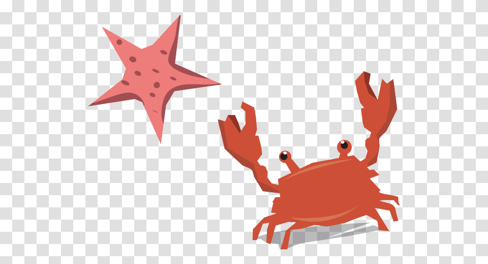 Download Hd Crab Clipart Baby Starfish Christmas Island Red Crab, Sea Life, Animal, Seafood, Symbol Transparent Png