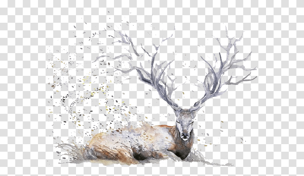 Download Hd Deer Antlers Expressive Watercolor Animal Background Deer Drawing Watercolor, Elk, Wildlife, Mammal, Bird Transparent Png