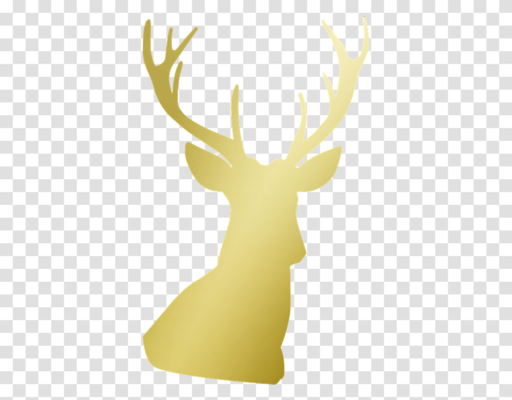 Download Hd Deer Antlers Gold Golden Gold Deer Head Logo, Wildlife, Mammal, Animal, Kangaroo Transparent Png