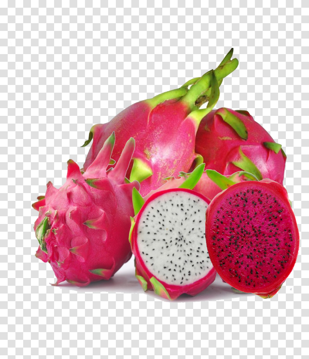 Download Hd Dragon Fruit Image Dragon Fruit Background, Plant, Food, Rose, Flower Transparent Png