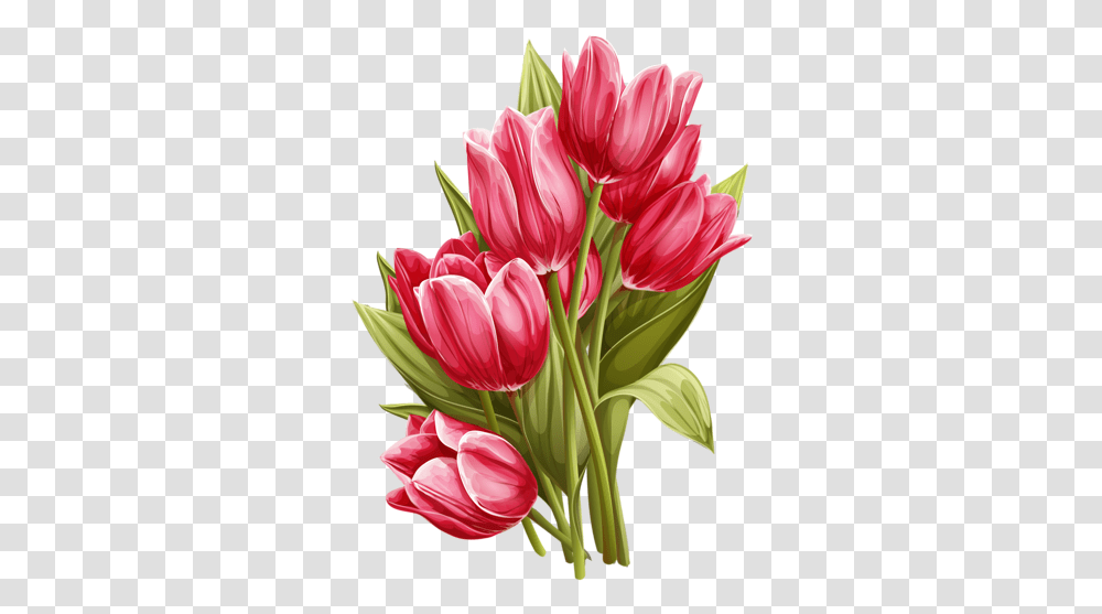 Download Hd Drawing Tulips Vintage Art Tulip Watercolor Painting, Plant, Flower, Blossom, Flower Arrangement Transparent Png