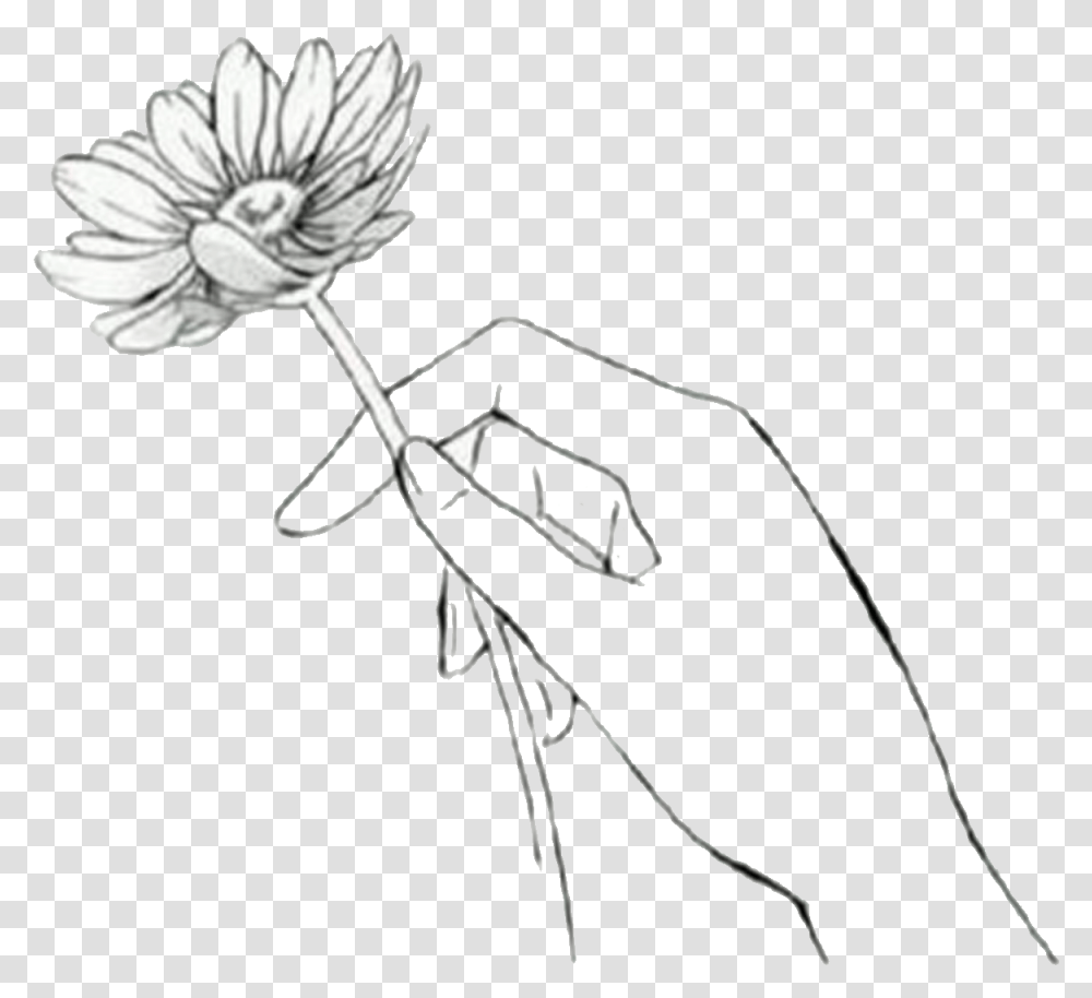 Download Hd Drawn Manga Black And White Anime Flower In Drawn Hand Holding A Flower, Bow, Invertebrate, Animal, Insect Transparent Png