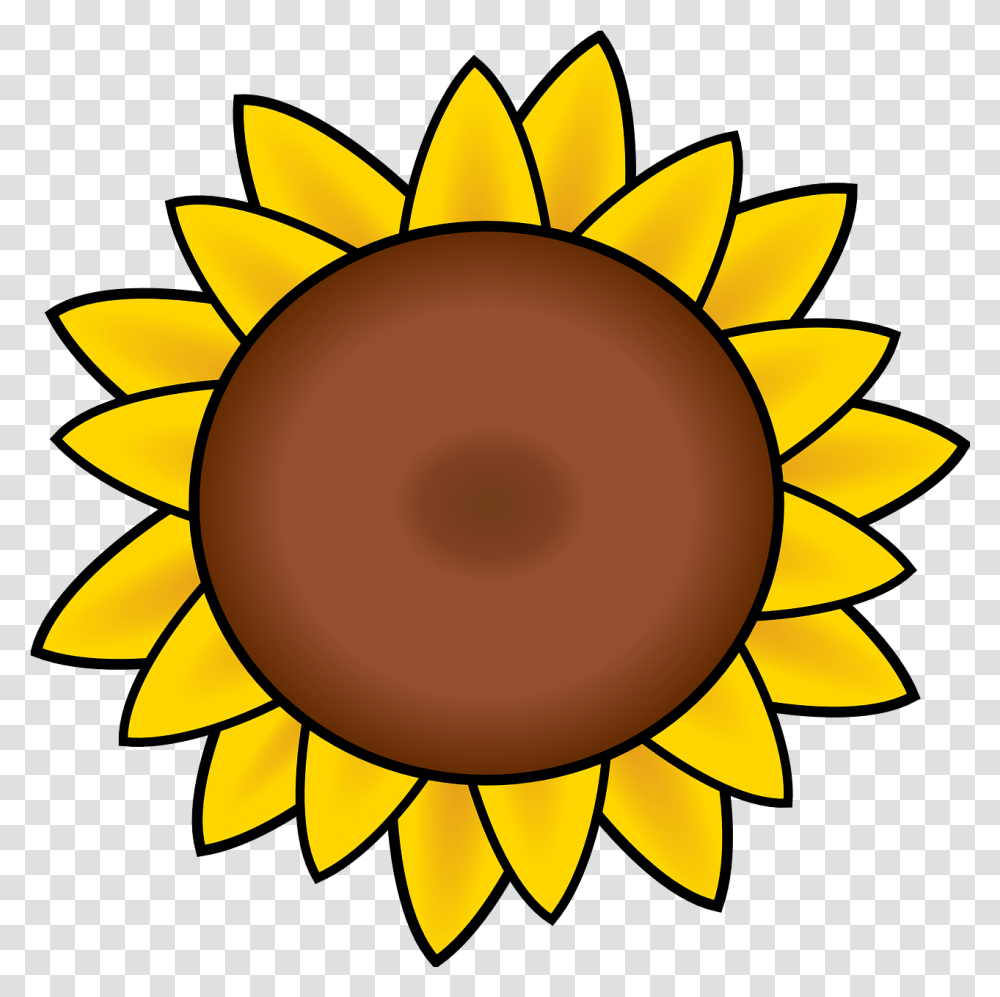 Download Hd Drawn Sunflower Petal Sunflower Sunflower Clipart, Lamp, Plant, Blossom, Photography Transparent Png