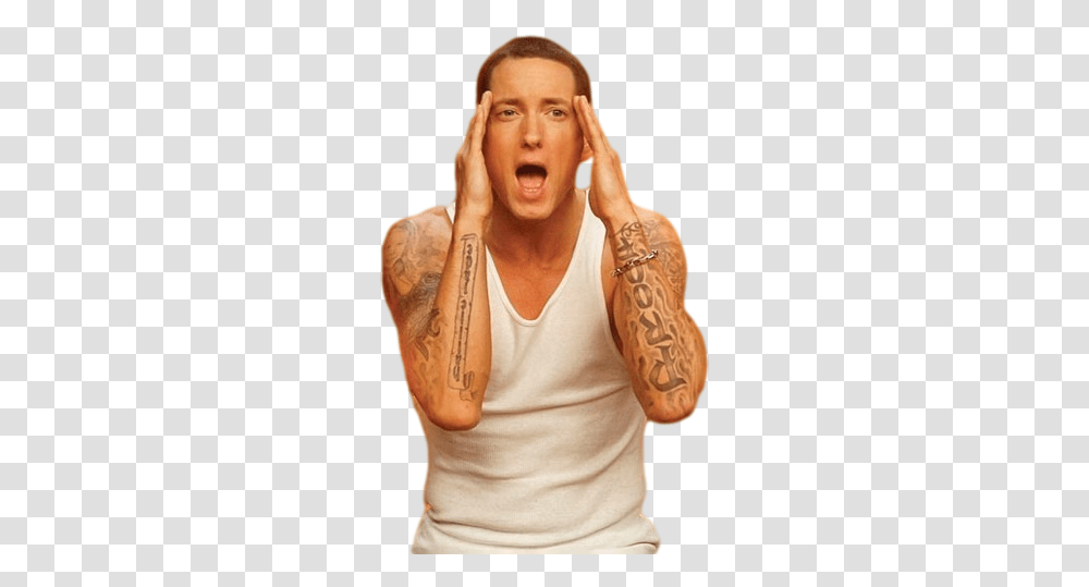 Download Hd Eminem File Eminem And Rihanna Love The Way You Lie, Arm, Skin, Person, Tattoo Transparent Png