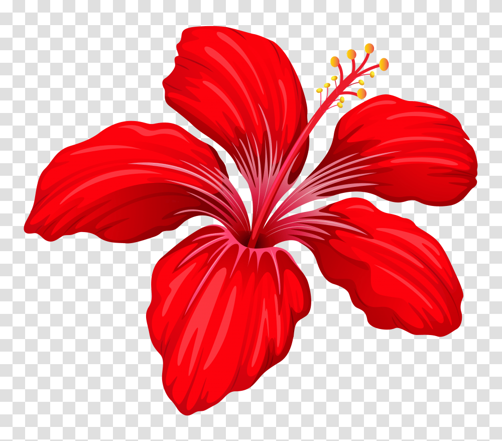 Download Hd Exotic Red Flower Image Clipart Red Flowers, Plant, Petal, Blossom, Hibiscus Transparent Png