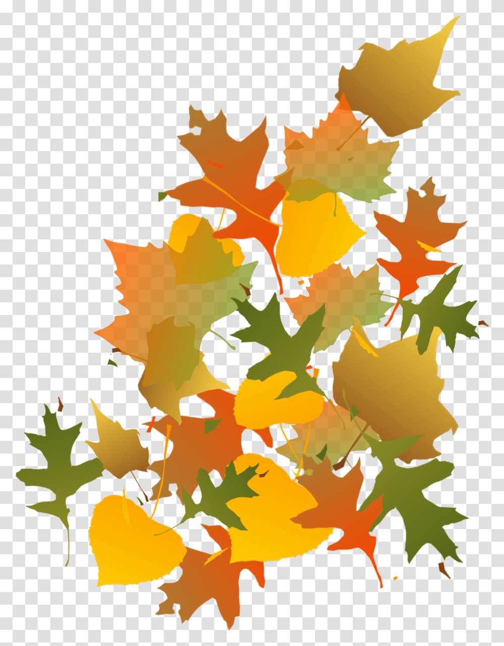 Download Hd Fall Leaves Image Autumn Leaves Clip Art Autumn Leaves Clip Art, Leaf, Plant, Tree, Maple Transparent Png