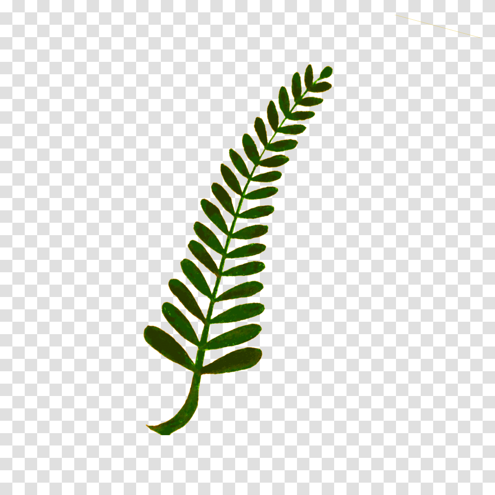 Download Hd Fern Computer Icons Plant Stem Watercolor Fern Clipart, Green, Leaf, Screw, Machine Transparent Png