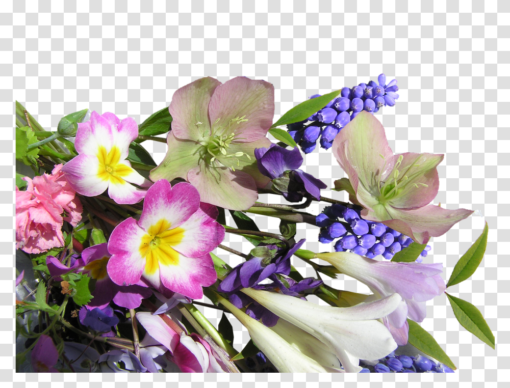 Download Hd Flower Bunch Mixed Flower Flower Bouquet, Plant, Blossom, Flower Arrangement, Pollen Transparent Png