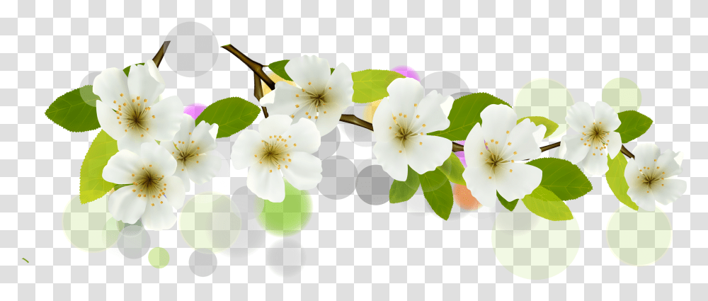 Download Hd Flower Euclidean Vector White Banner Floral Vector Flower Banner, Plant, Blossom, Petal, Anther Transparent Png