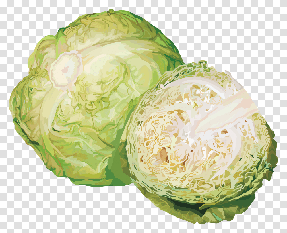 Download Hd Flower Vegetable Hd, Plant, Cabbage, Food, Head Cabbage Transparent Png