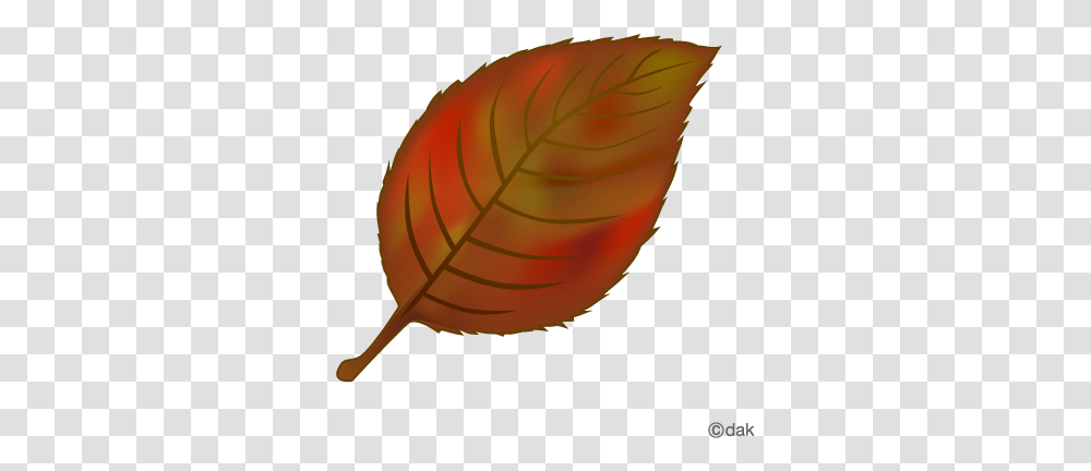 Download Hd Foliage Clipart Red Leaf Falling Tree Leaves Tree Leaves Clipart, Plant, Veins, Balloon Transparent Png