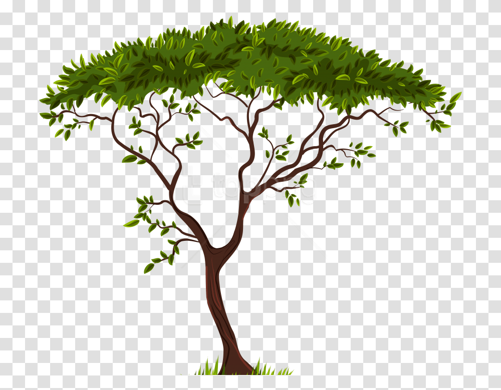 Download Hd Free Exotic Tree Clipart Photo Tree Clipart Background, Plant, Vegetation, Oak, Leaf Transparent Png