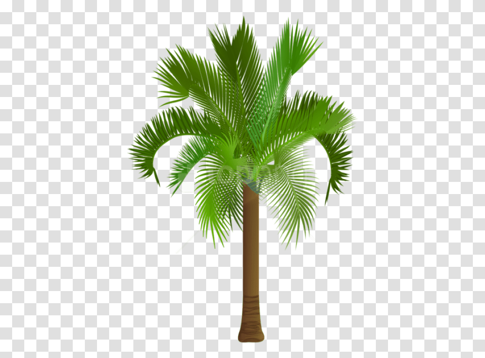Download Hd Free Palm Tree Images Free Palm Tree Clipart, Plant, Arecaceae, Leaf, Green Transparent Png