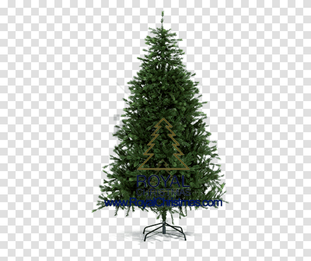 Download Hd Free Pine Tree For Christmas Image With High Resolution Plain Christmas Tree, Ornament, Plant, Conifer, Fir Transparent Png