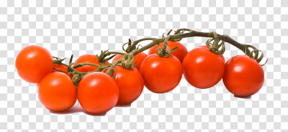 Download Hd Free Tomato Image Portable Network Graphics, Plant, Vegetable, Food, Fruit Transparent Png