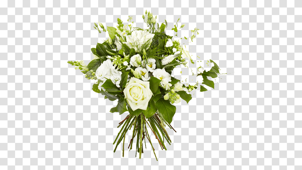Download Hd Freeuse Bouquet White Flower White Flower Bouquet, Plant, Graphics, Art, Blossom Transparent Png