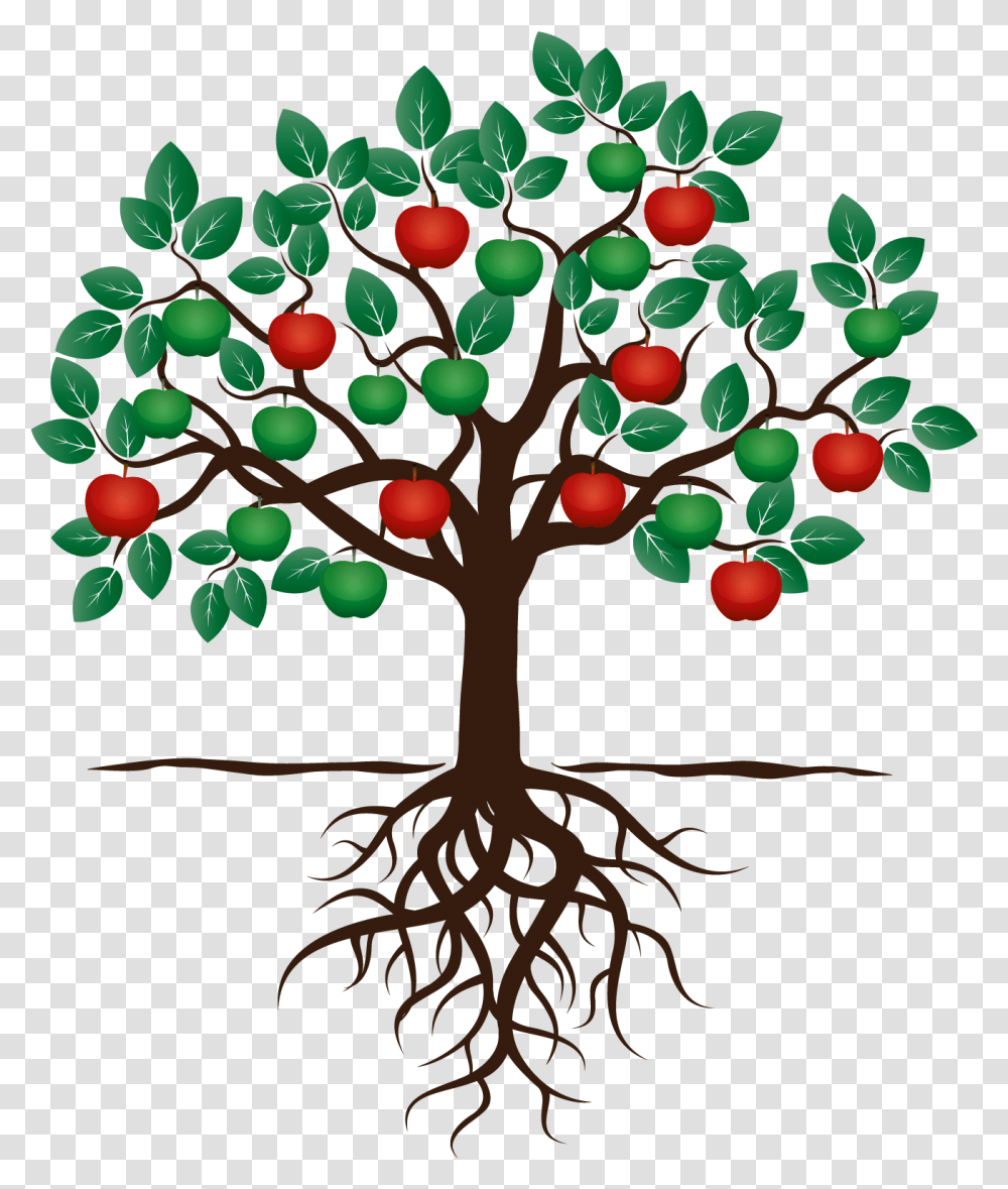 Download Hd Fruit Tree Drawing Apple Root Fruit Tree With Apple Tree With Roots Clipart, Plant, Lamp, Food,  Transparent Png