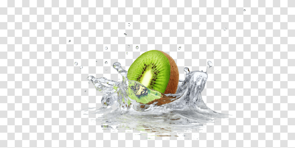 Download Hd Fruit Water Splash Clipart Divider Splash Kiwi Splashing In Water, Plant, Food, Outdoors, Bird Transparent Png