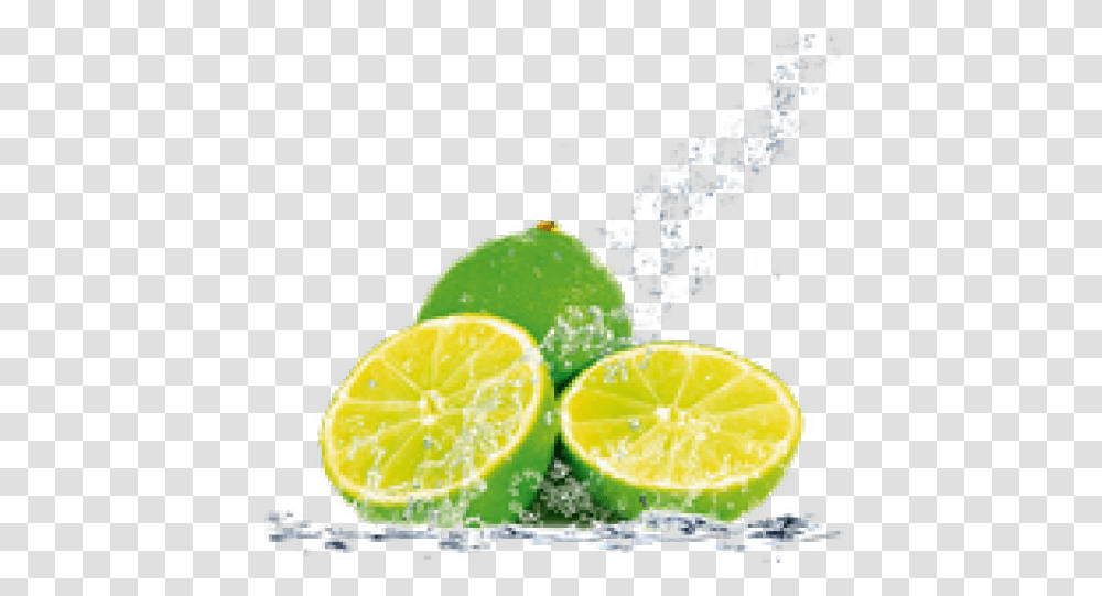 Download Hd Fruit Water Splash Lemon Water Splash, Citrus Fruit, Plant, Food, Lime Transparent Png