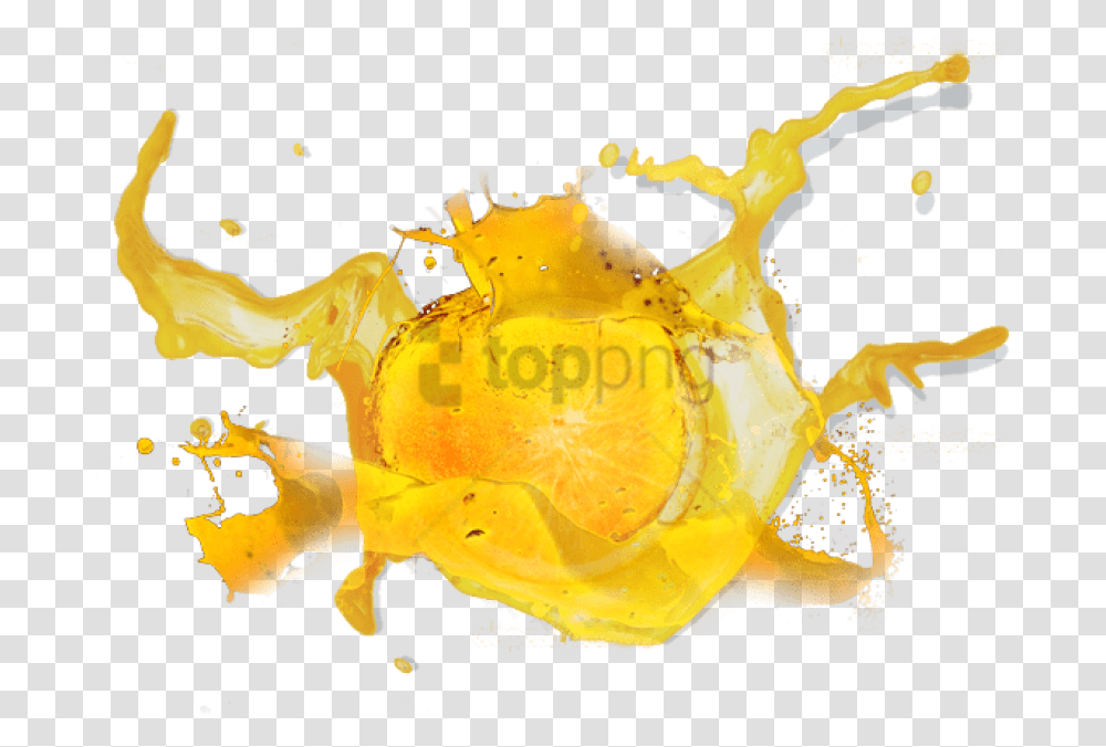 Download Hd Fruits Splash Fruit Splash Yellow Orange, Peel, Plant, Bonfire, Animal Transparent Png