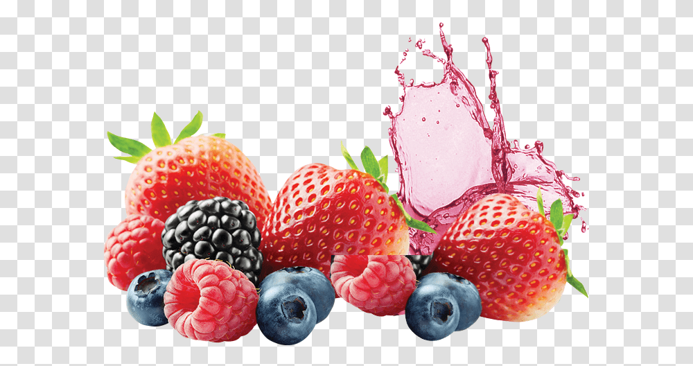 Download Hd Fruits Water Splash Image Mix Berry, Plant, Raspberry, Food, Blueberry Transparent Png