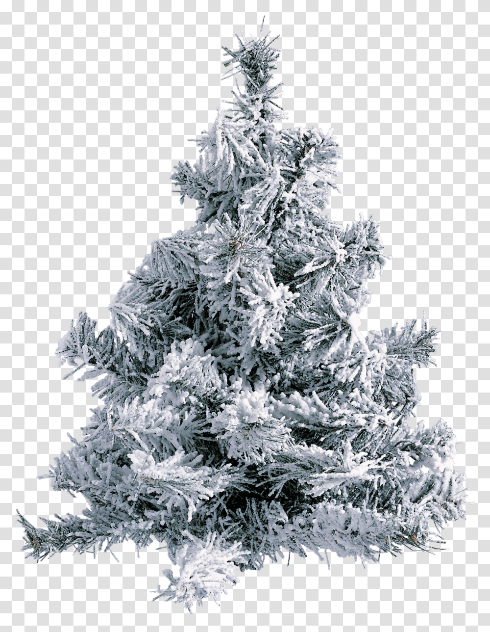 Download Hd Gifs De Arboles Navidad Snow Winter Background Christmas Scene, Christmas Tree, Ornament, Plant, Ice Transparent Png