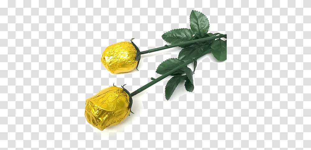 Download Hd Gold Foiled Belgian Rose Chocolate, Plant, Food, Vegetable, Produce Transparent Png