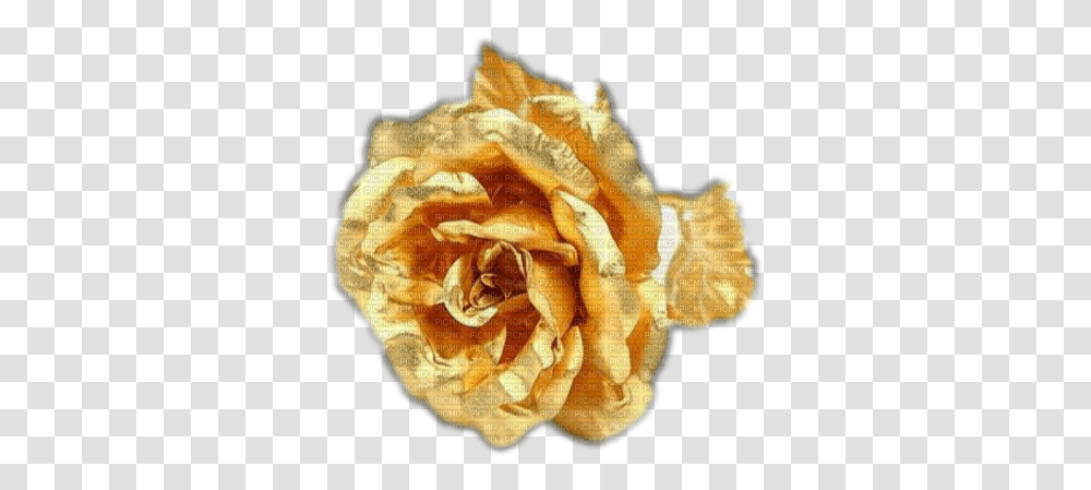 Download Hd Gold Rose 24 Carat Gold Flower Golden Rose, Plant, Blossom, Hot Dog, Food Transparent Png