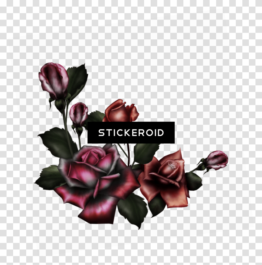 Download Hd Gothic Rose Pic Flower Gothic Flowers Gothic Flower, Plant, Blossom, Graphics, Art Transparent Png