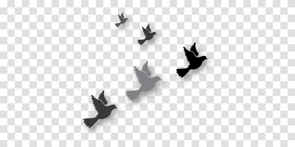 Download Hd Graphic Of Birds Flying Bird Flock, Land, Outdoors, Nature, Hand Transparent Png