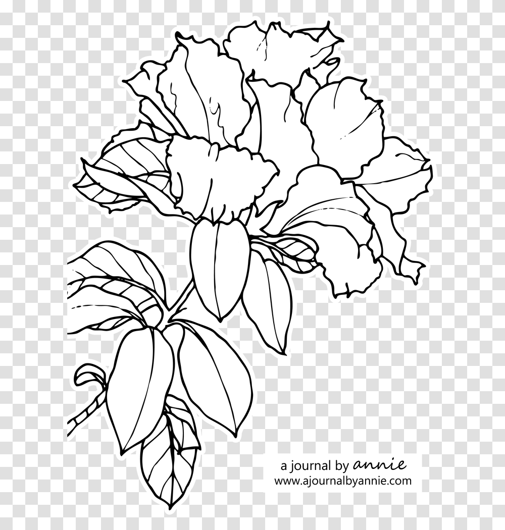 Download Hd Graphic Stock Azalea Drawing Pencil Azalea Line, Plant, Floral Design, Pattern, Graphics Transparent Png