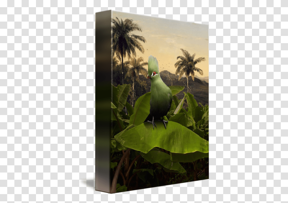 Download Hd Green Turaco Parakeet Parakeet, Bird, Animal, Vegetation, Plant Transparent Png