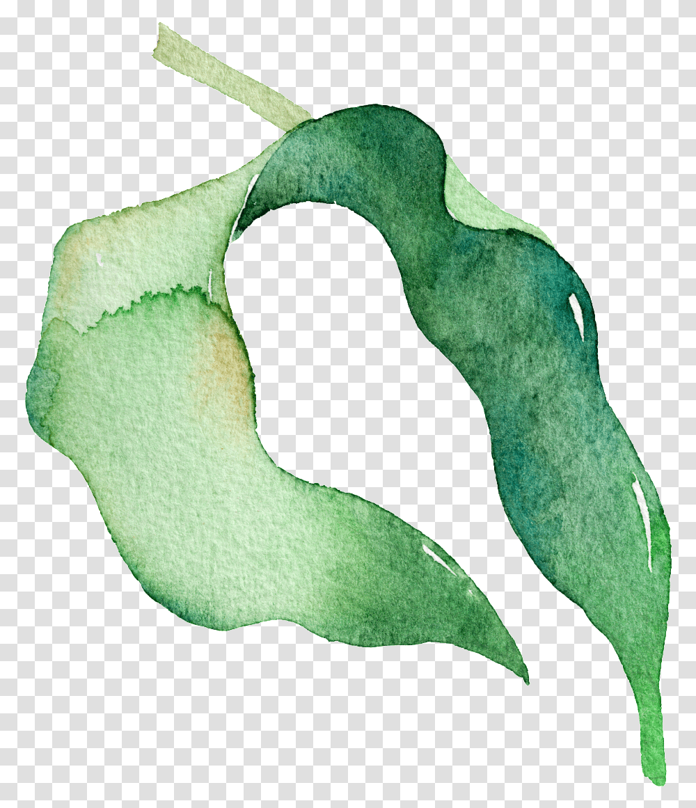 Download Hd Green Watercolor Pea Leaf Cartoon Green Watercolor, Cushion, Sock, Pillow, Plant Transparent Png