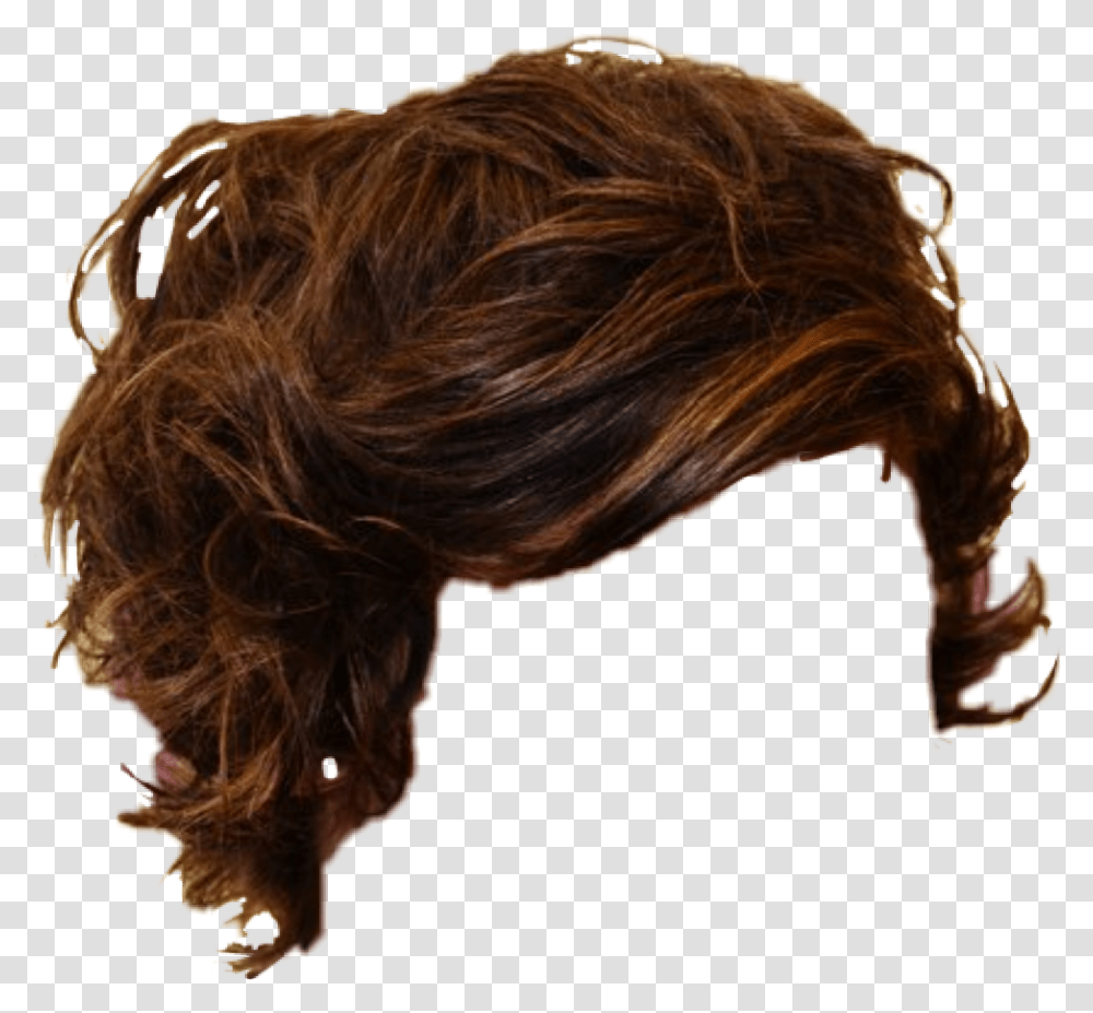 Download Hd Hair Hairstyle Haircut Boys Long Hair, Person, Head, Warthog, Face Transparent Png