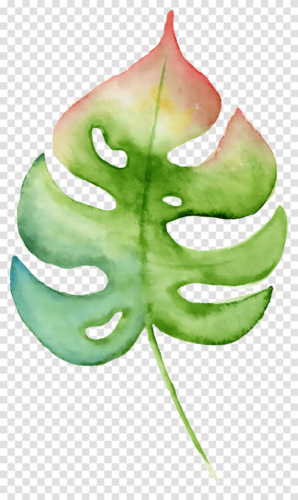 Download Hd Hand Painted A Leaf Watercolor Swiss Cheese Plant, Vegetable, Food, Produce, Tree Transparent Png