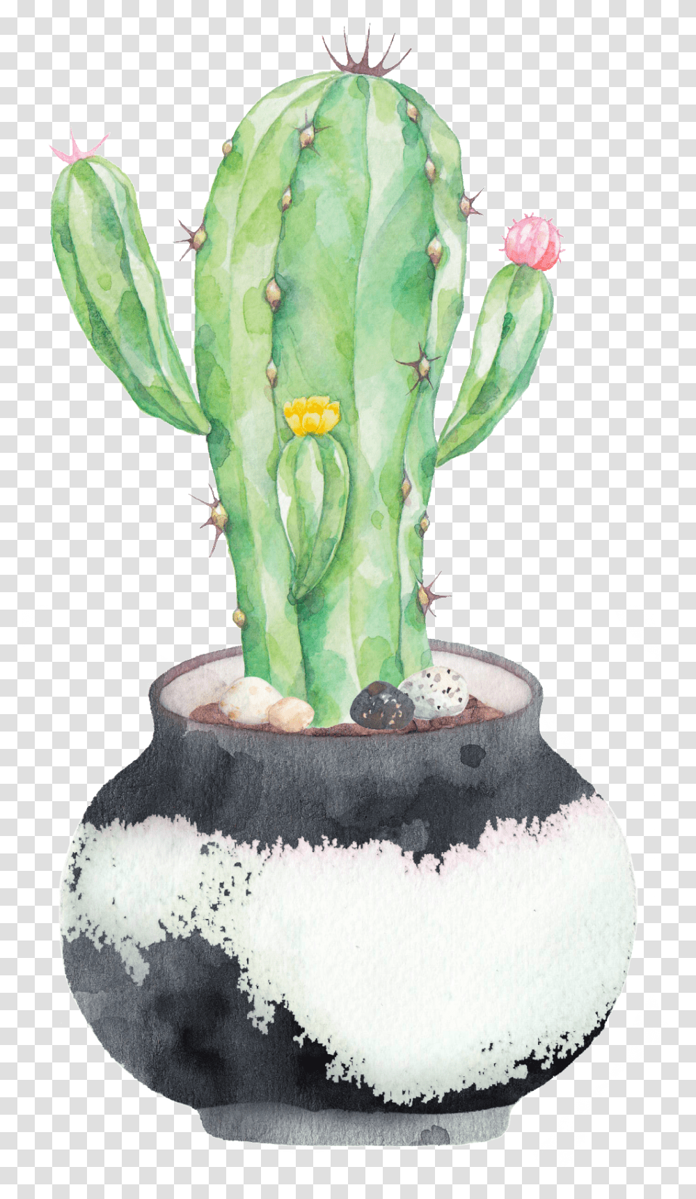 Download Hd Hand Painted A Plate Of Cactus Potted Cactus Watercolor Transparent Png