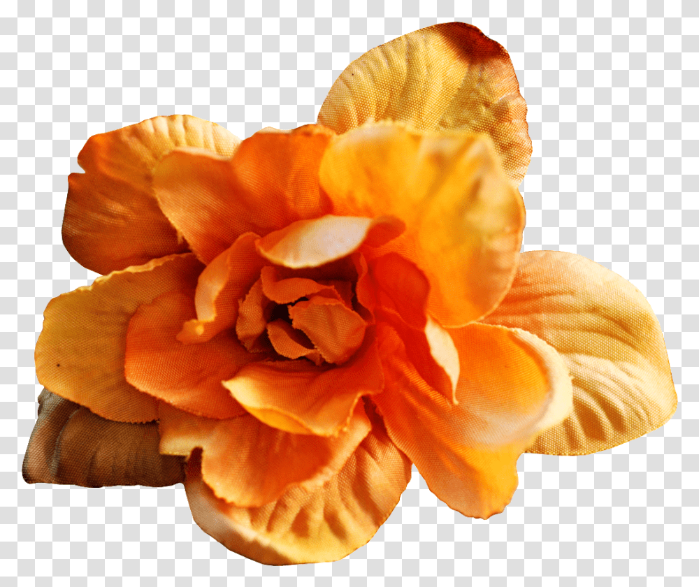Download Hd Hand Painted Warm Yellow Flowers Artificial Flower, Plant, Petal, Geranium, Rose Transparent Png