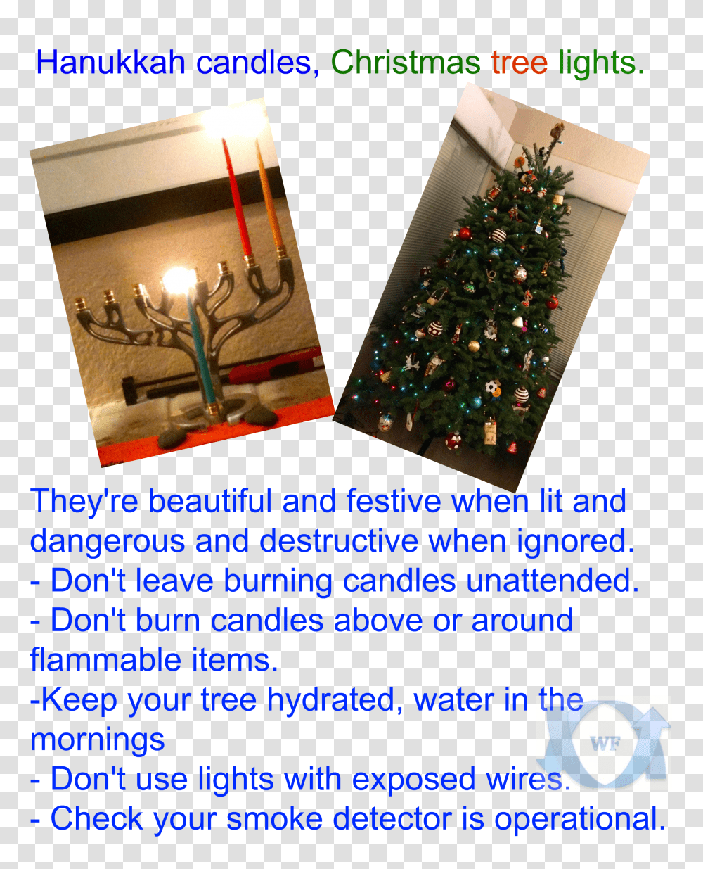 Download Hd Hanukkah Candles Christmas Christmas Tree, Plant, Ornament, Fir, Abies Transparent Png