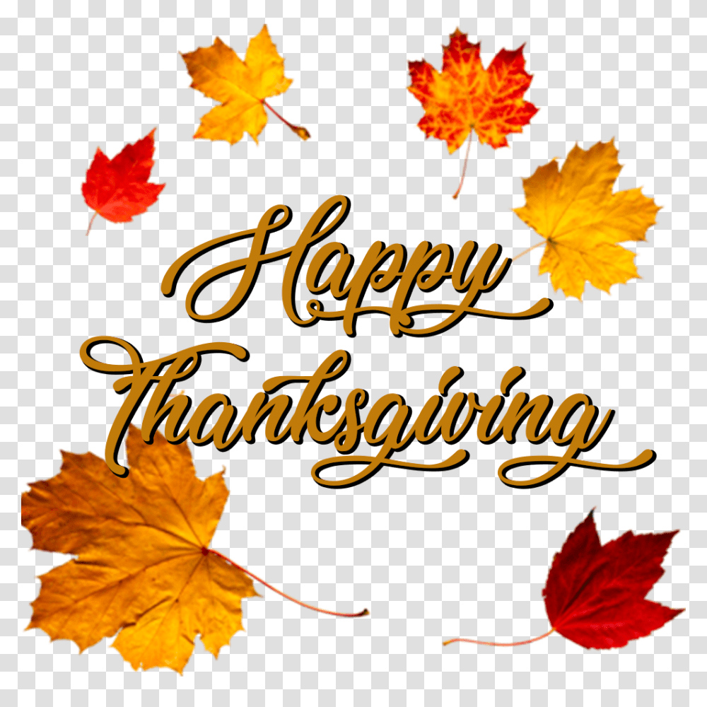 Download Hd Happy Thanksgiving Crown Of Autumn Leaves Happy Thanksgiving Background, Leaf, Plant, Maple Leaf, Tree Transparent Png
