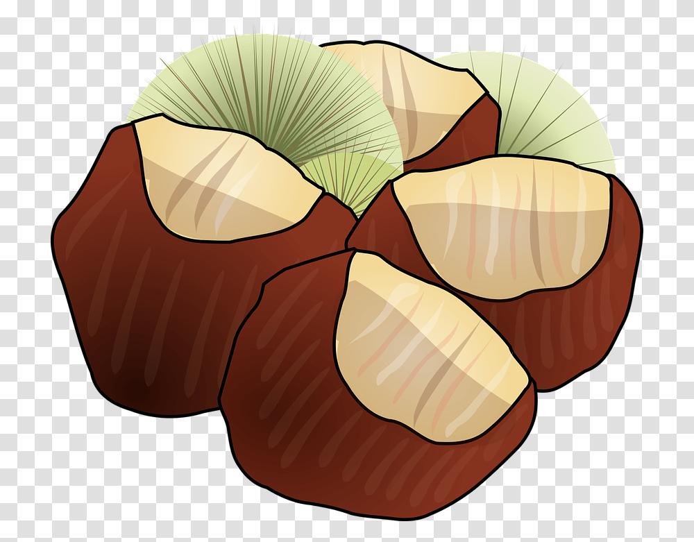 Download Hd Hazelnut Clipart Chestnuts Clipart, Plant, Vegetable, Food, Outdoors Transparent Png