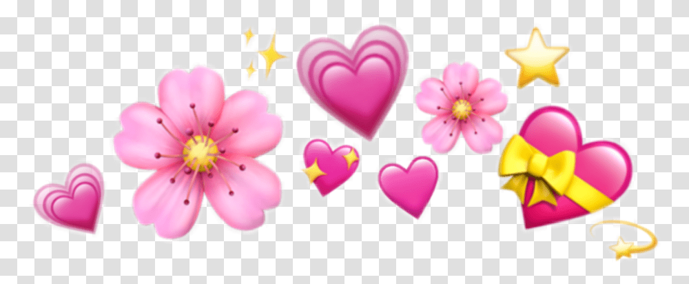 Download Hd Heart Emoji Crown Image Heart Emoji Crown, Flower, Plant, Blossom, Petal Transparent Png