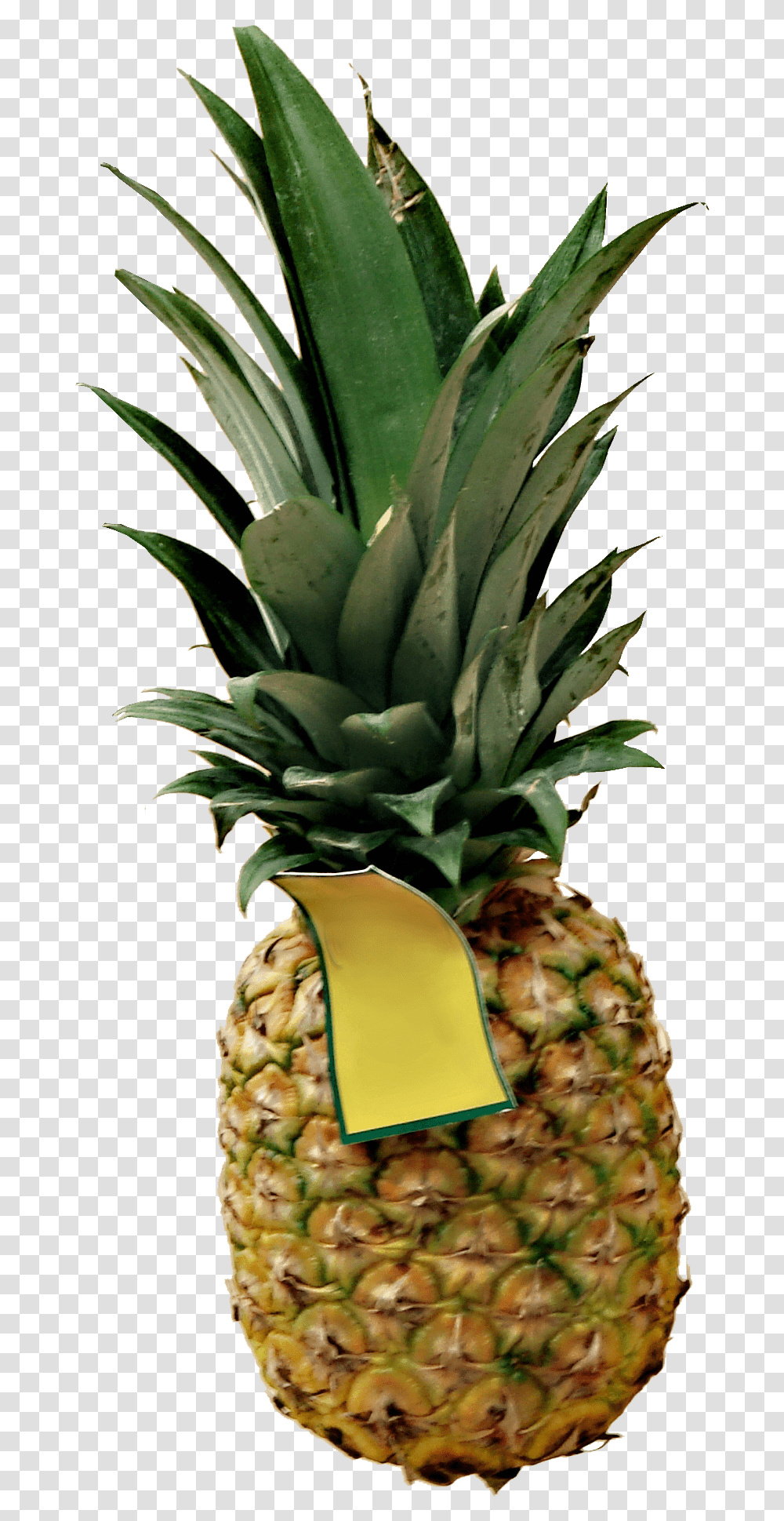Download Hd High Definition Pineapple Picture Ananas, Fruit, Plant, Food Transparent Png