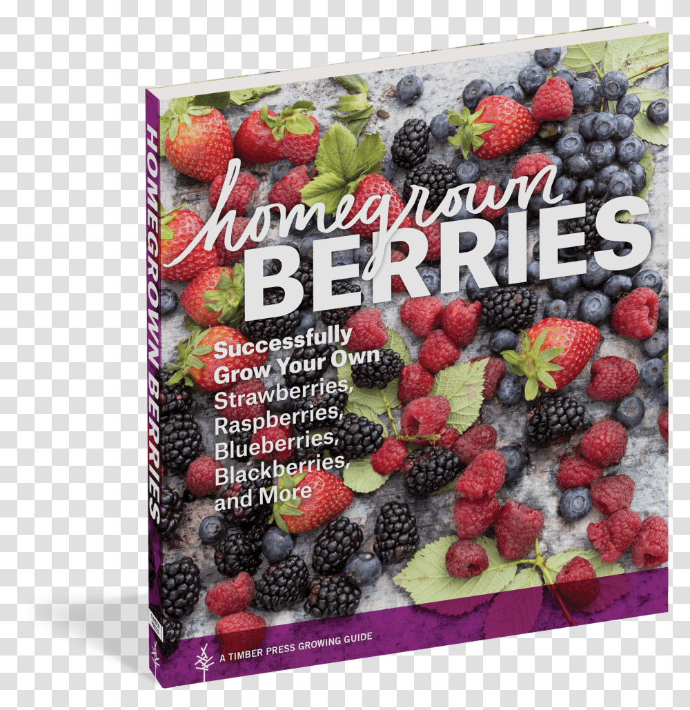 Download Hd Homegrown Berries Homegrown Berries By Timber Blueberries Supermarket Transparent Png
