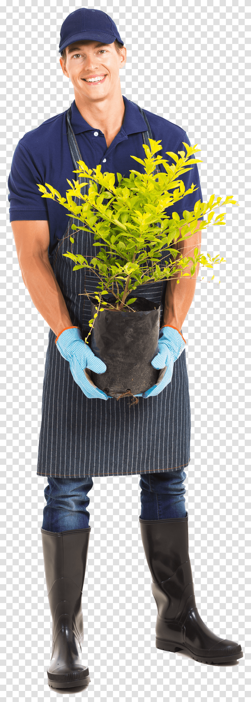 Download Hd Honest And Dependable Gardener, Clothing, Person, Plant, Tree Transparent Png