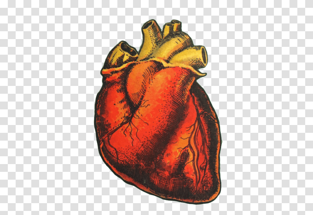 Download Hd Human Heart Drawing El Corazon Loteria Card Human Heart Aesthetic, Animal, Invertebrate, Skin, Tattoo Transparent Png