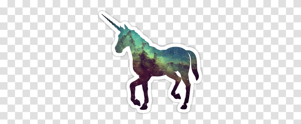 Download Hd I Believe In Space Unicorns Papel De Parede Tumblr Para Tela De Bloqueio, Mammal, Animal, Horse, Antelope Transparent Png